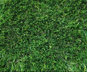 Summer_delux aussie turf co