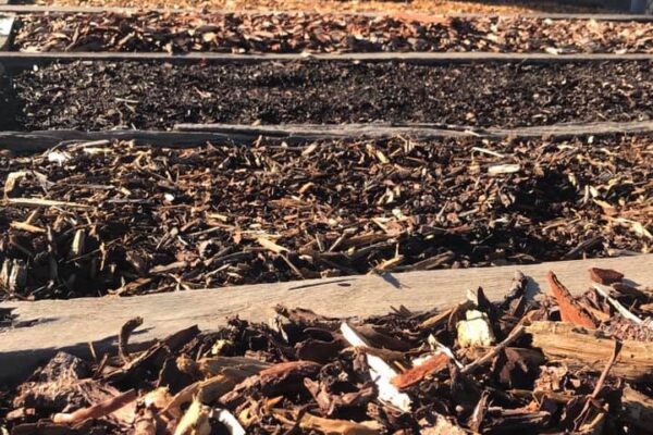 mulch